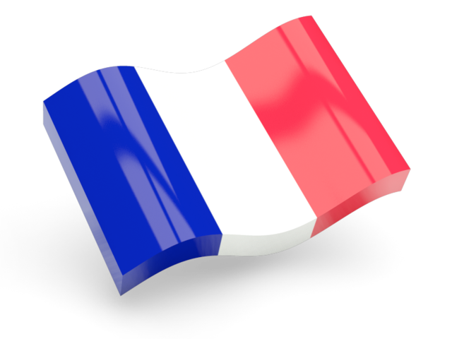 Сборные грузы из Франции